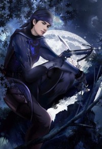 武道大帝