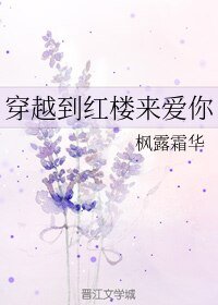 (紅樓夢同人)穿越到紅樓來愛你