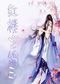 (红楼同人)红楼之锦玉