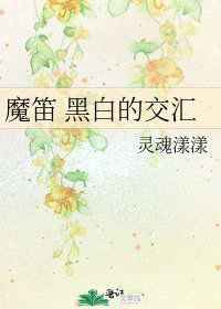 魔笛 黑白的交汇